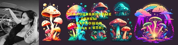 молекула духа Верхний Тагил