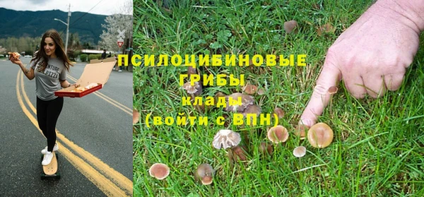 трава Бугульма