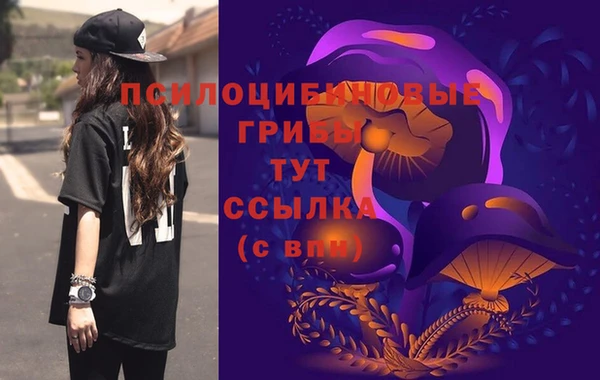 спайс Верея