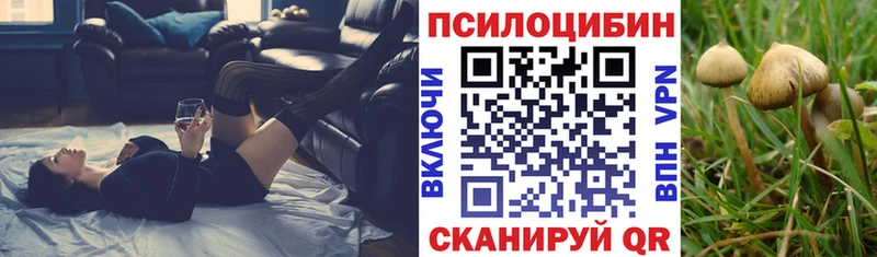 Псилоцибиновые грибы прущие грибы Новоржев